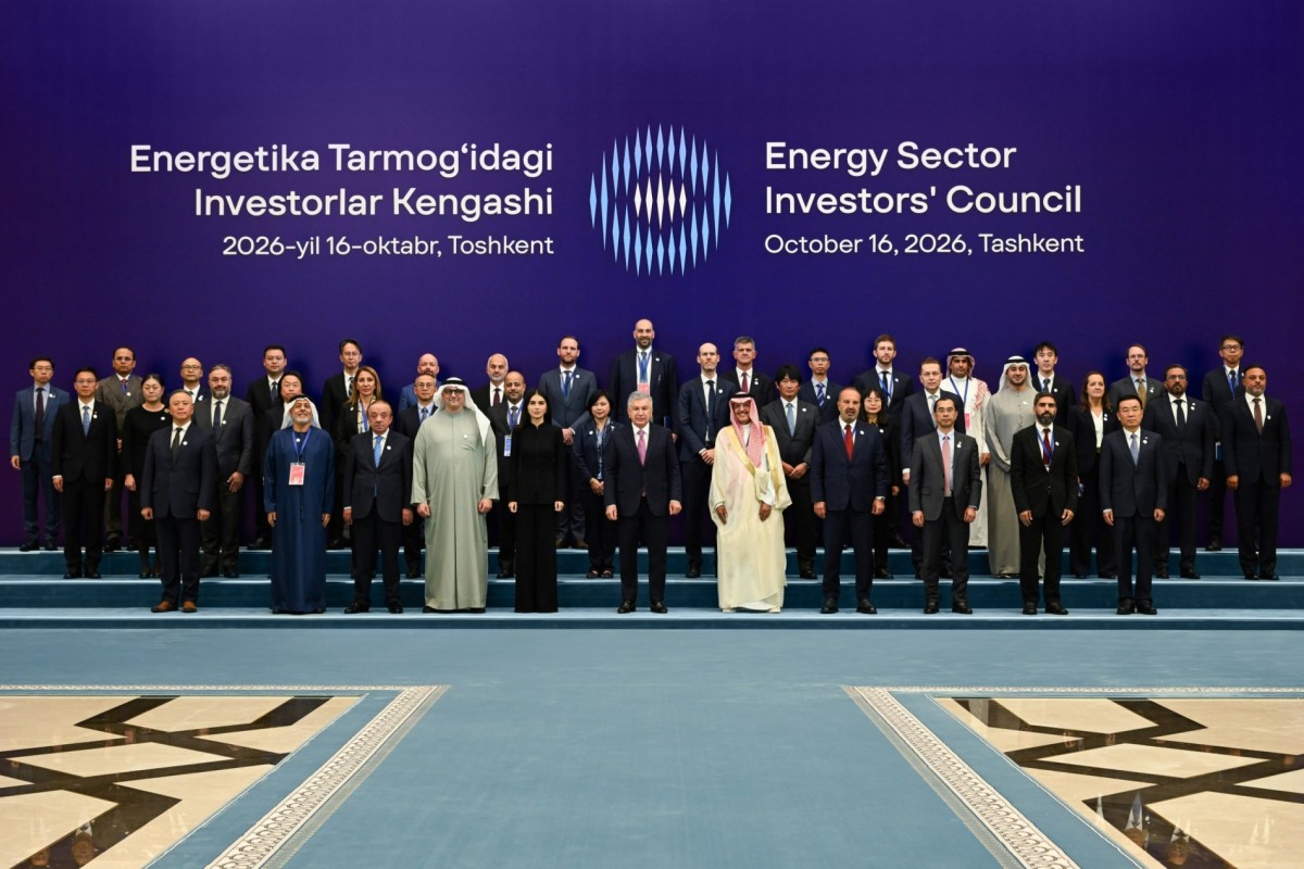 总统与投资者讨论了加快燃料能源行业改革的问题